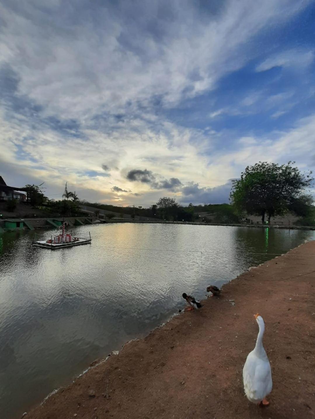 Flat Com Vista Magnifica! Winterville Gravata Pe Ngoại thất bức ảnh